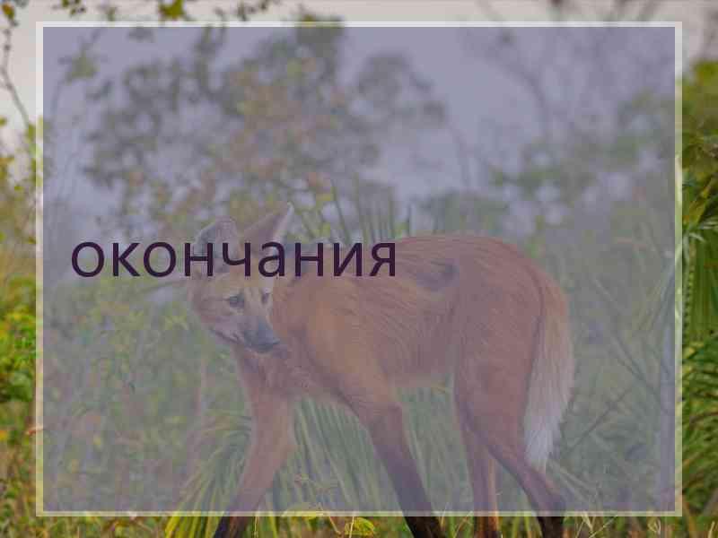 окончания