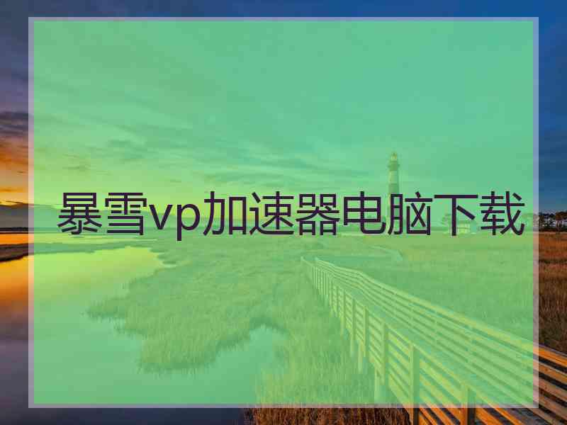 暴雪vp加速器电脑下载