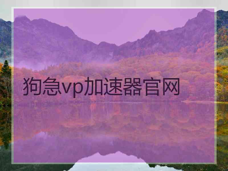 狗急vp加速器官网