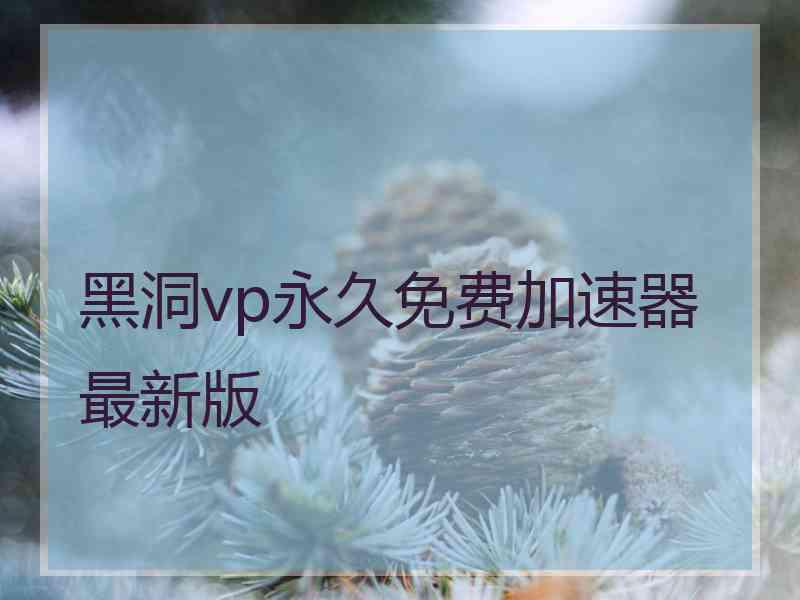 黑洞vp永久免费加速器最新版