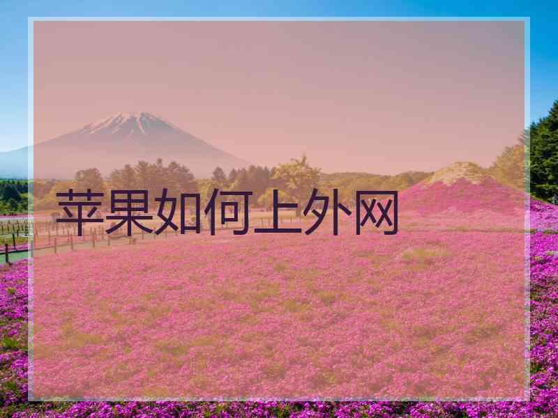 苹果如何上外网