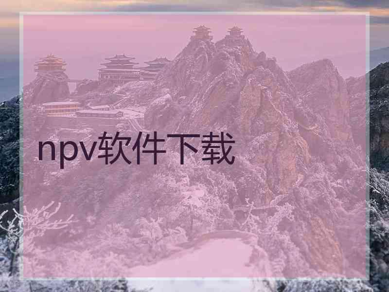 npv软件下载