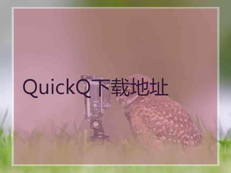 QuickQ下载地址