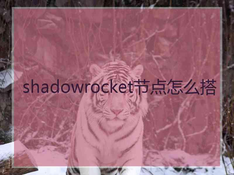 shadowrocket节点怎么搭