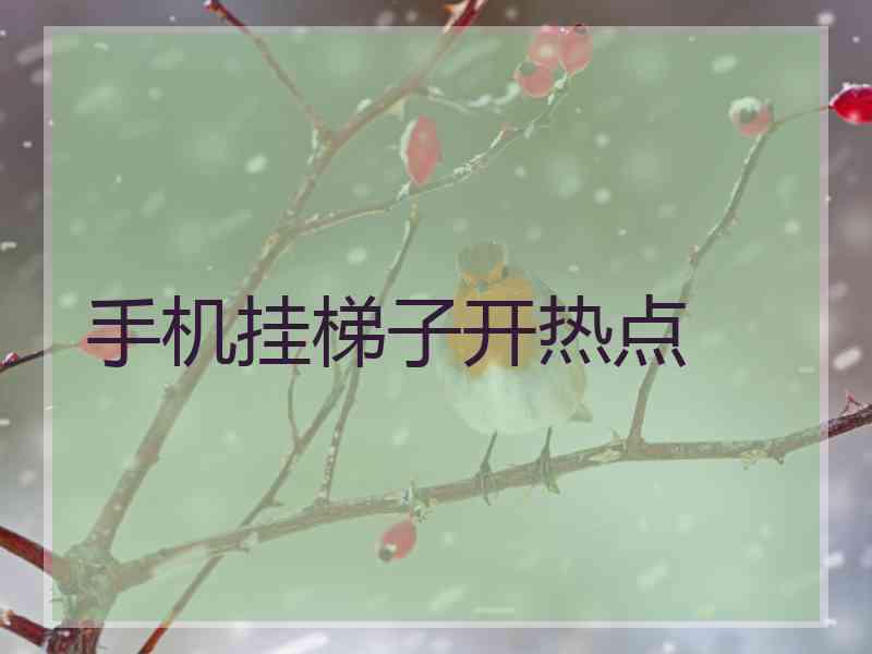 手机挂梯子开热点