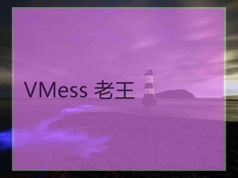 VMess 老王