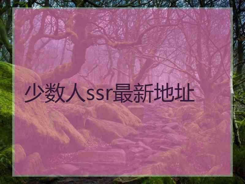 少数人ssr最新地址