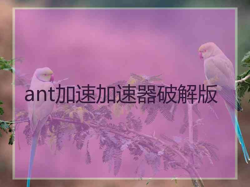 ant加速加速器破解版