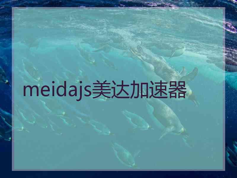 meidajs美达加速器