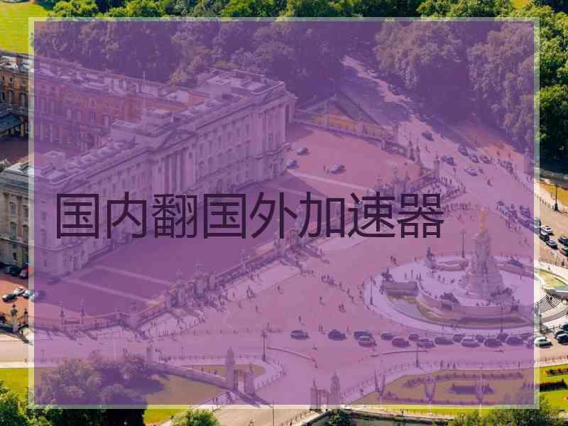 国内翻国外加速器