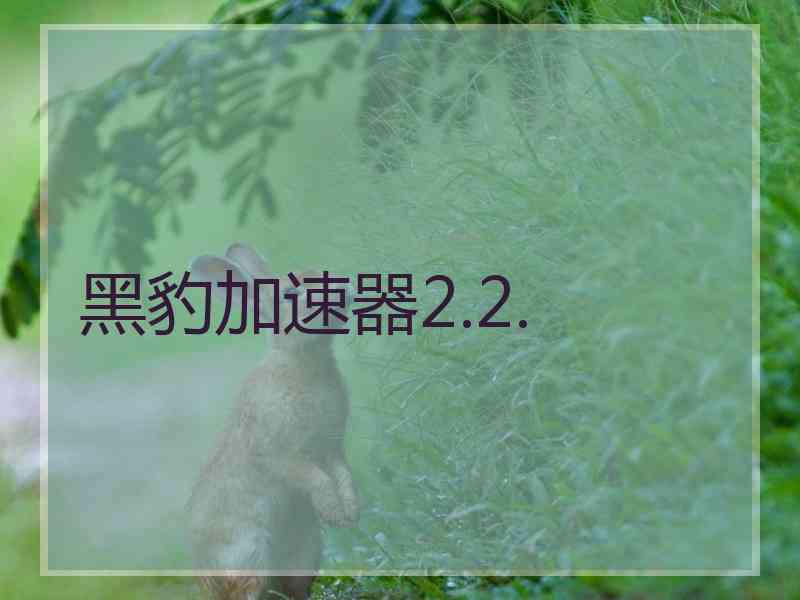 黑豹加速器2.2.