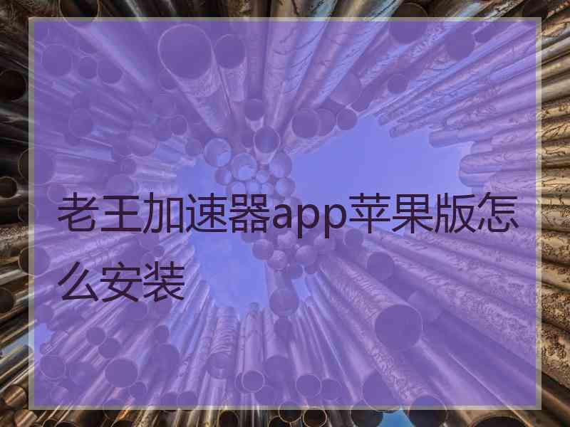 老王加速器app苹果版怎么安装