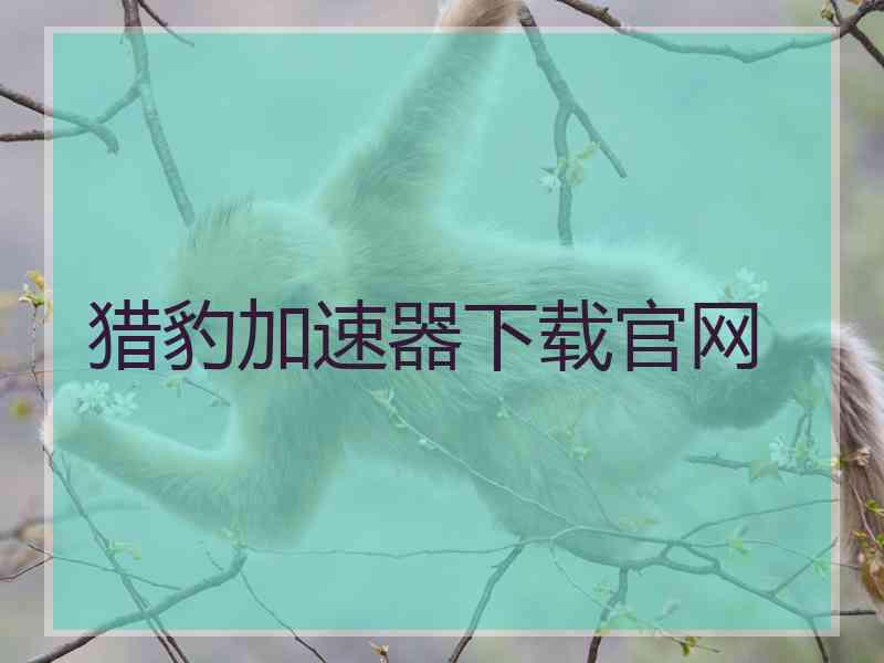 猎豹加速器下载官网