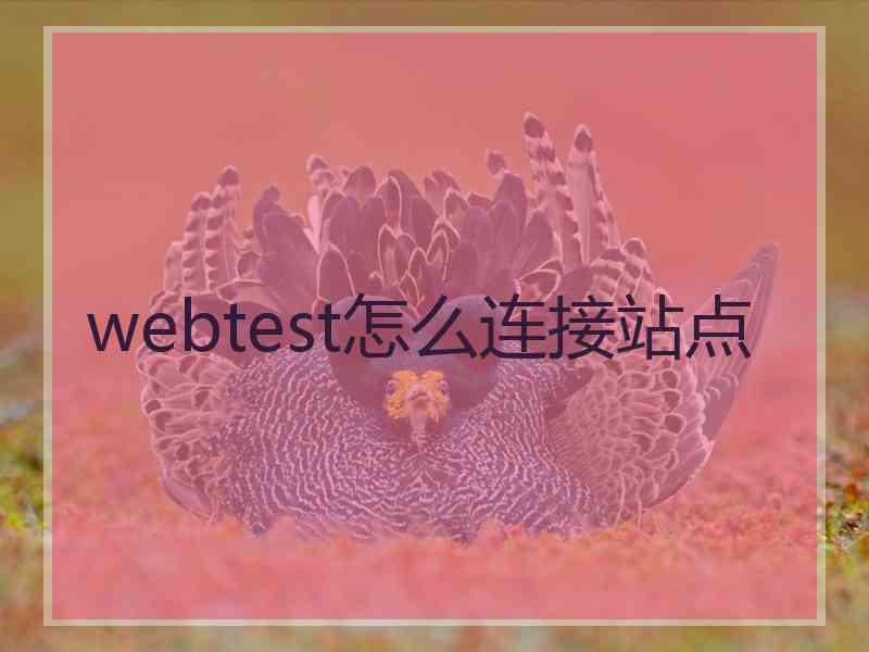 webtest怎么连接站点