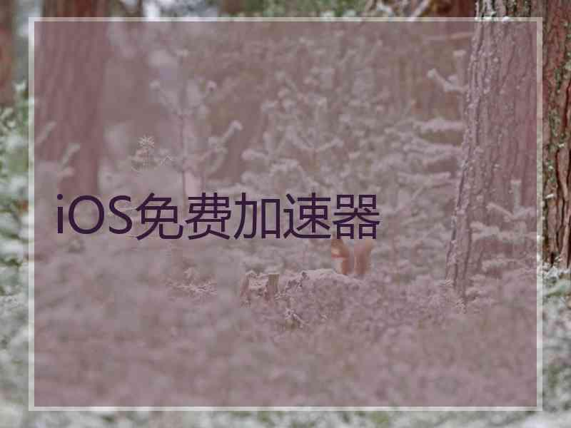 iOS免费加速器