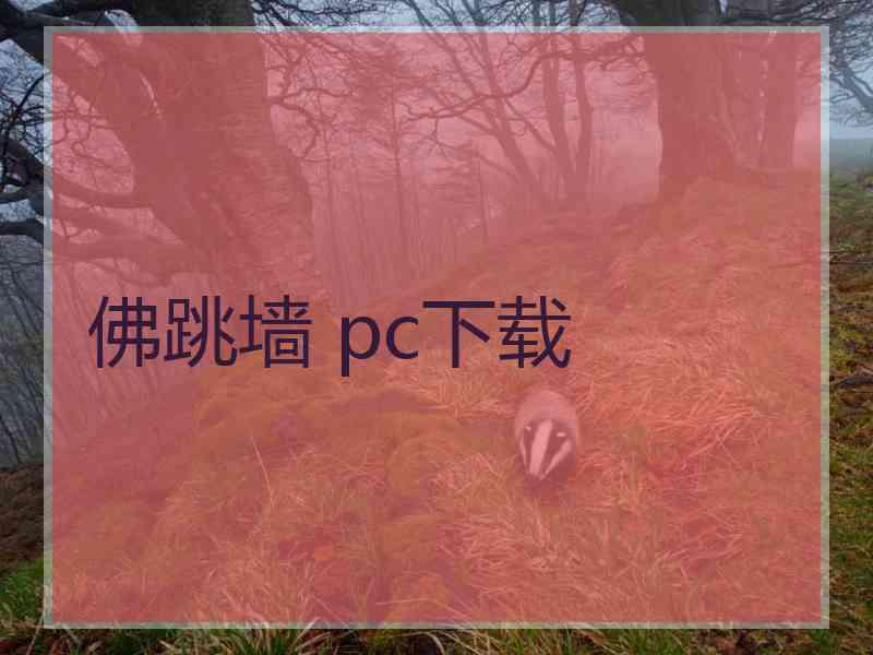 佛跳墙 pc下载