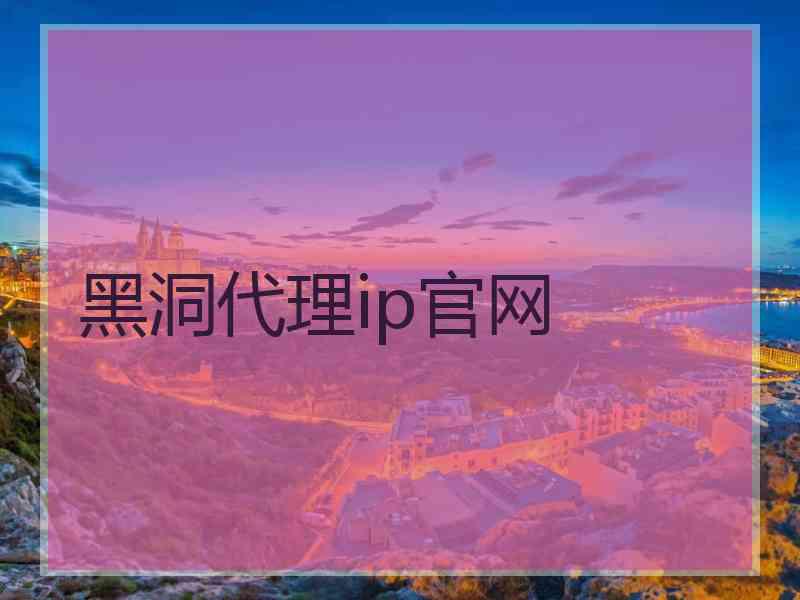 黑洞代理ip官网