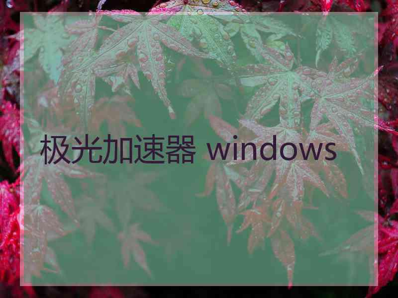 极光加速器 windows