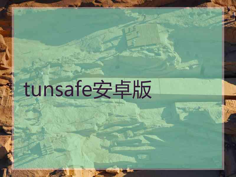 tunsafe安卓版