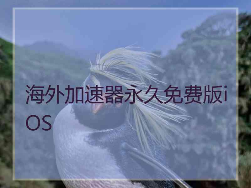 海外加速器永久免费版iOS