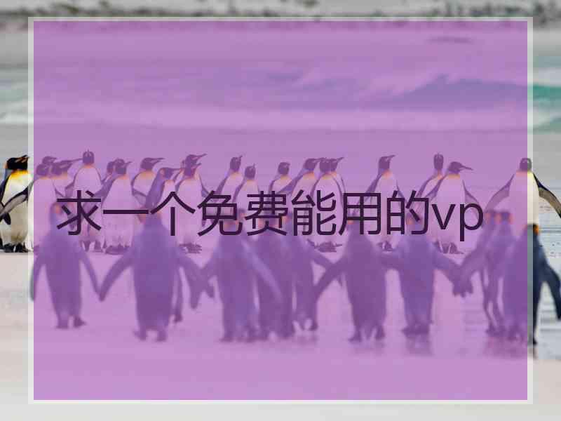 求一个免费能用的vp