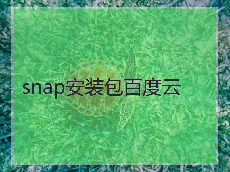 snap安装包百度云