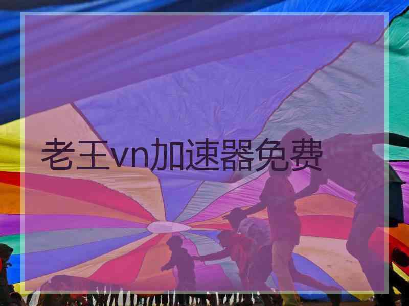 老王vn加速器免费