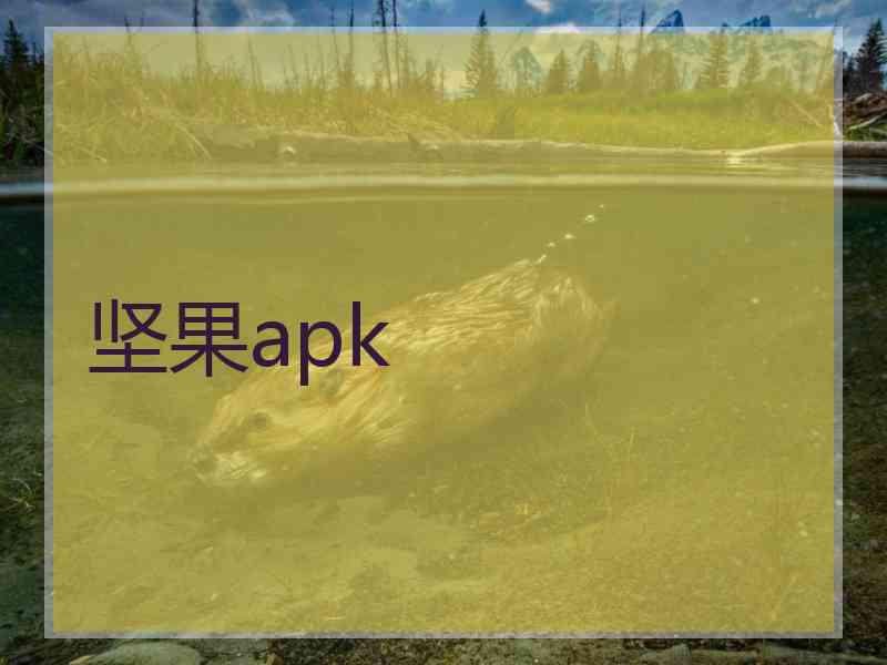 坚果apk