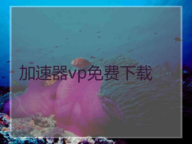 加速器vp免费下载