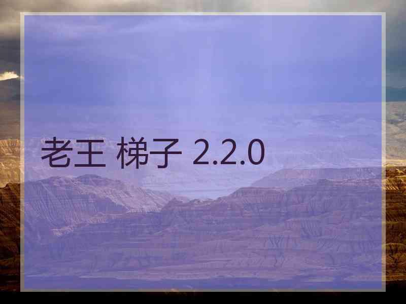 老王 梯子 2.2.0