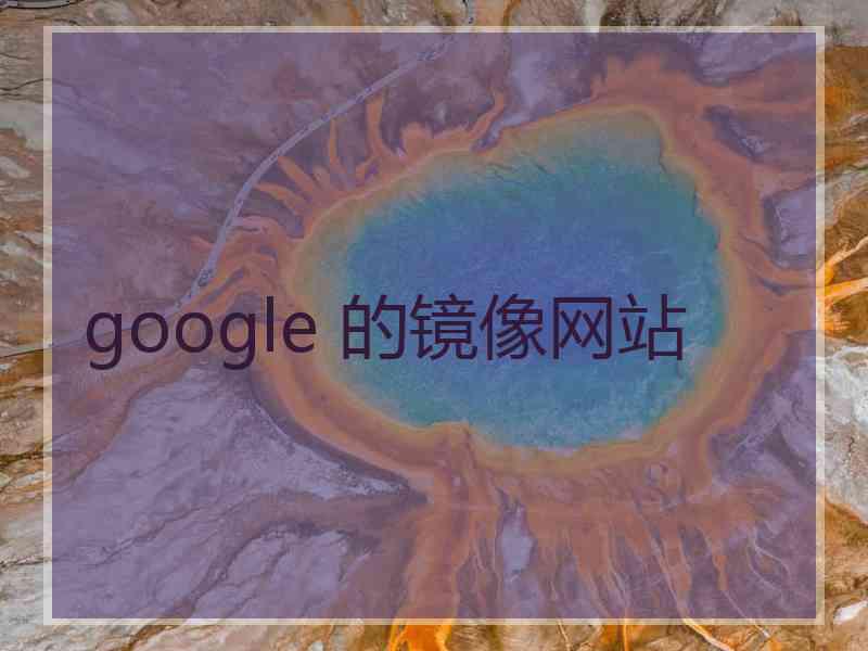 google 的镜像网站