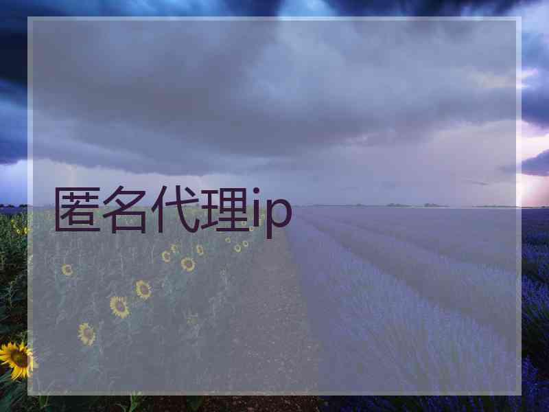 匿名代理ip