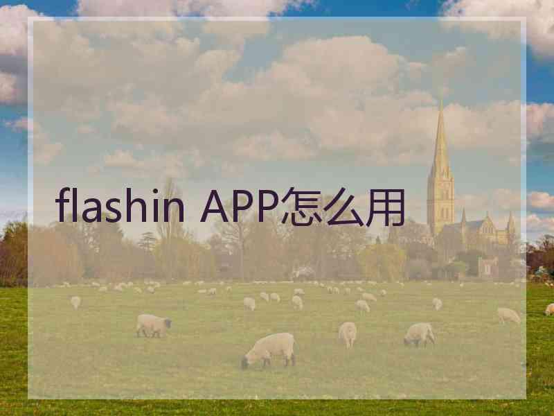 flashin APP怎么用