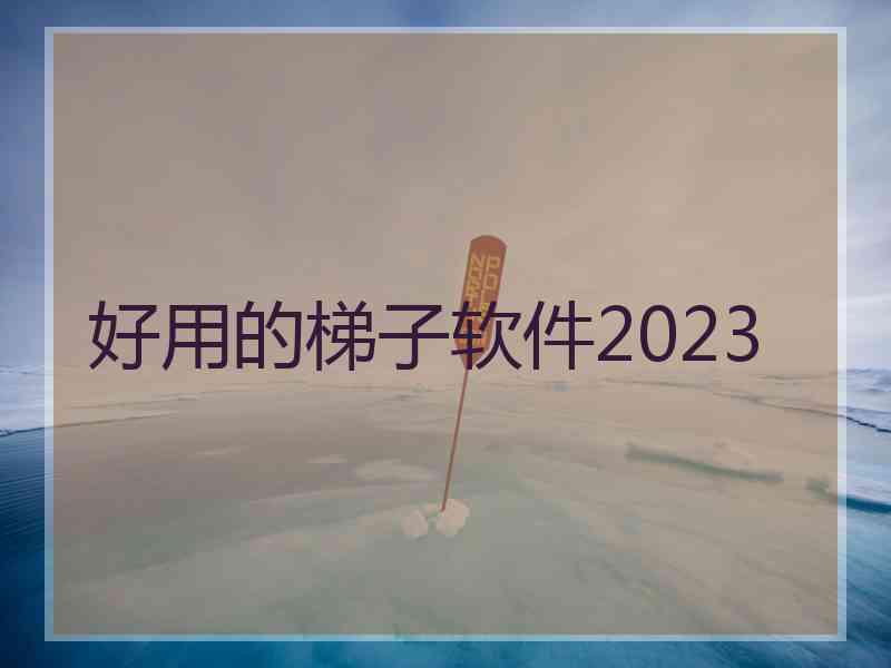 好用的梯子软件2023