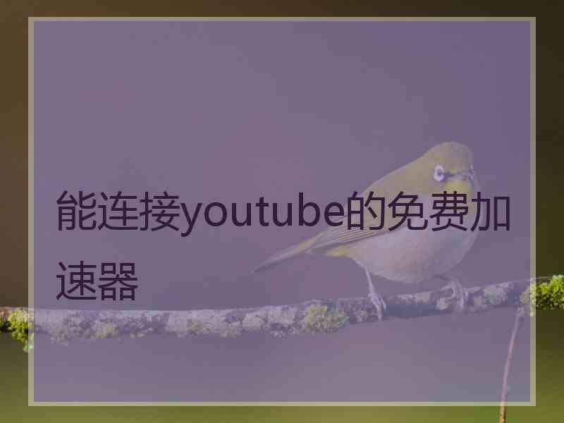 能连接youtube的免费加速器