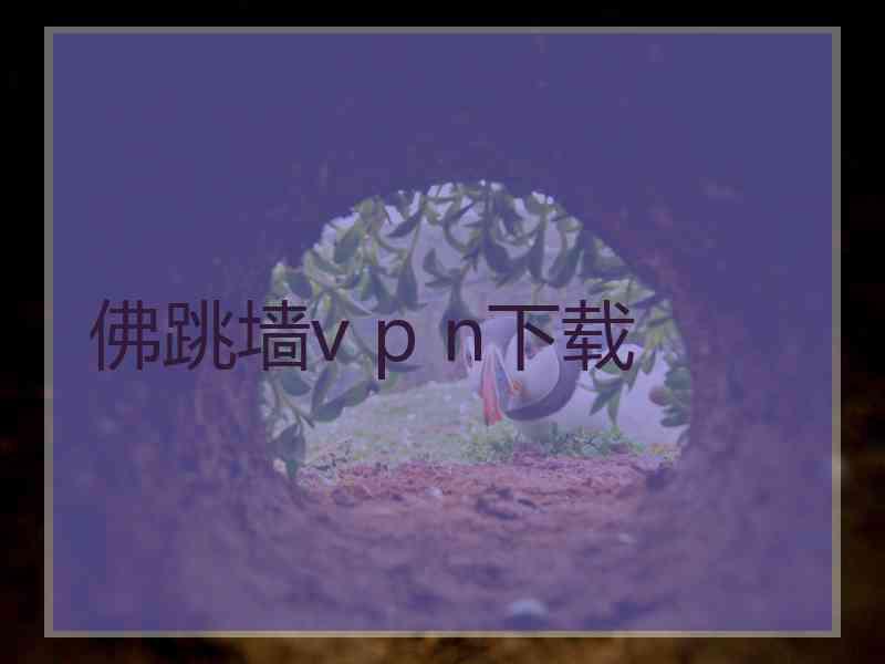 佛跳墙v p n下载