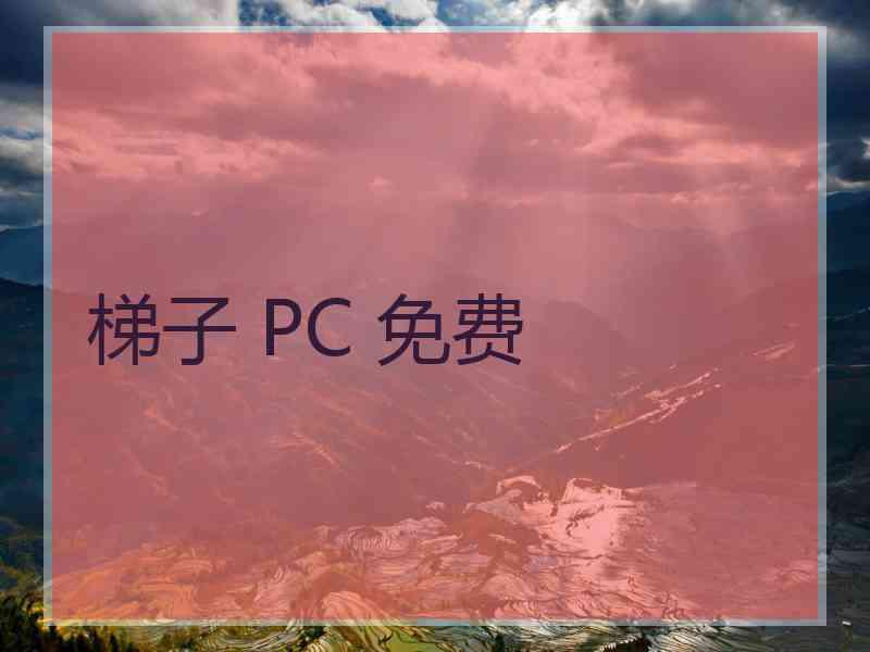 梯子 PC 免费