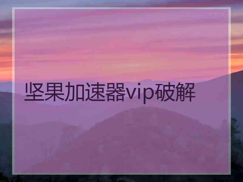 坚果加速器vip破解