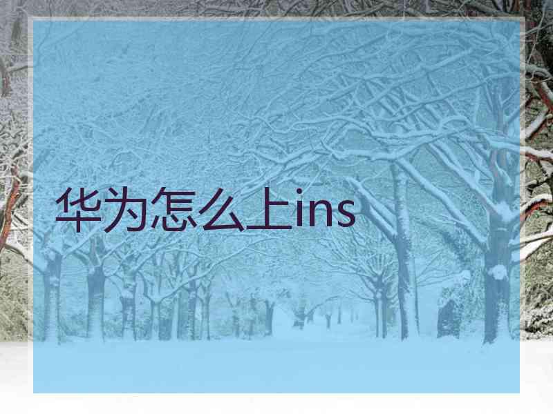 华为怎么上ins