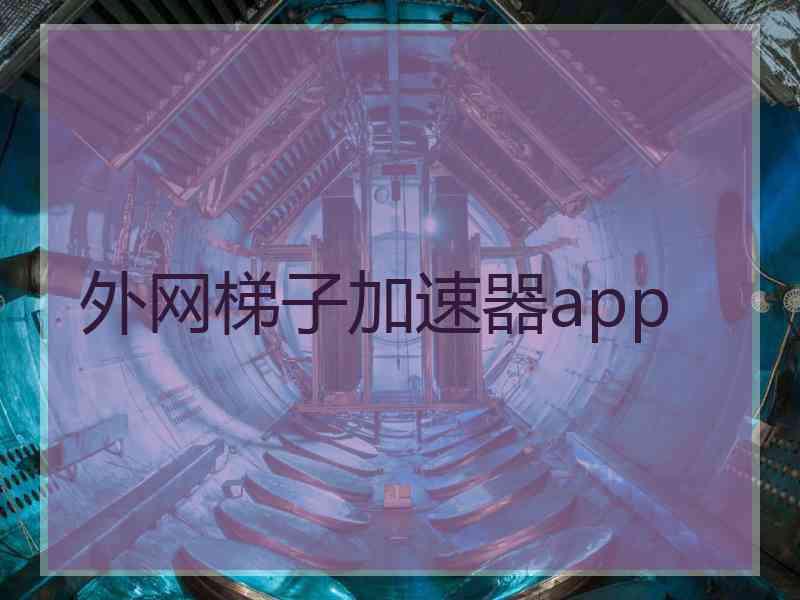 外网梯子加速器app