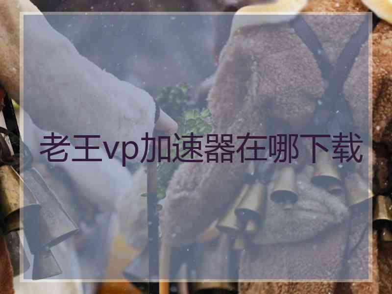 老王vp加速器在哪下载