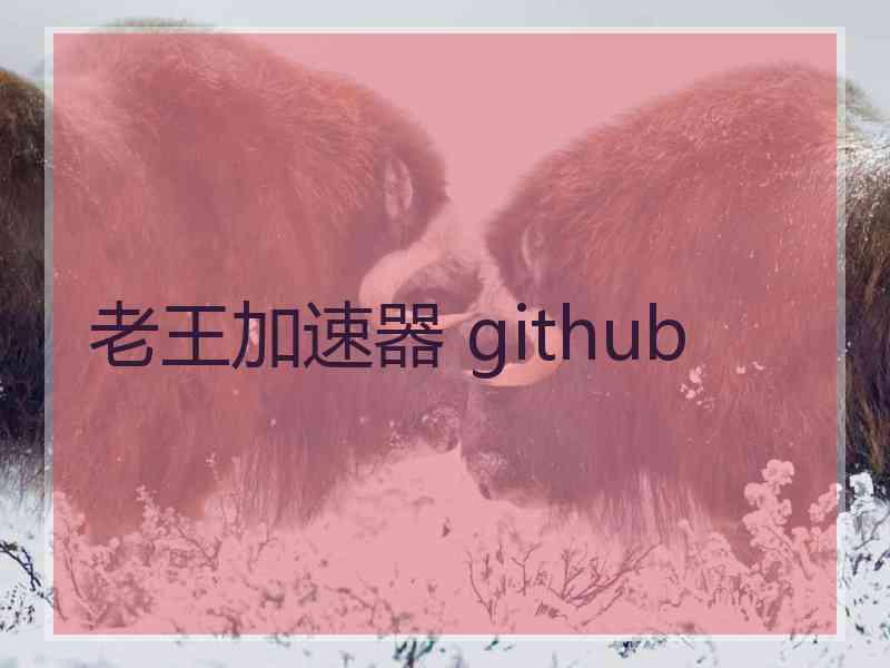 老王加速器 github