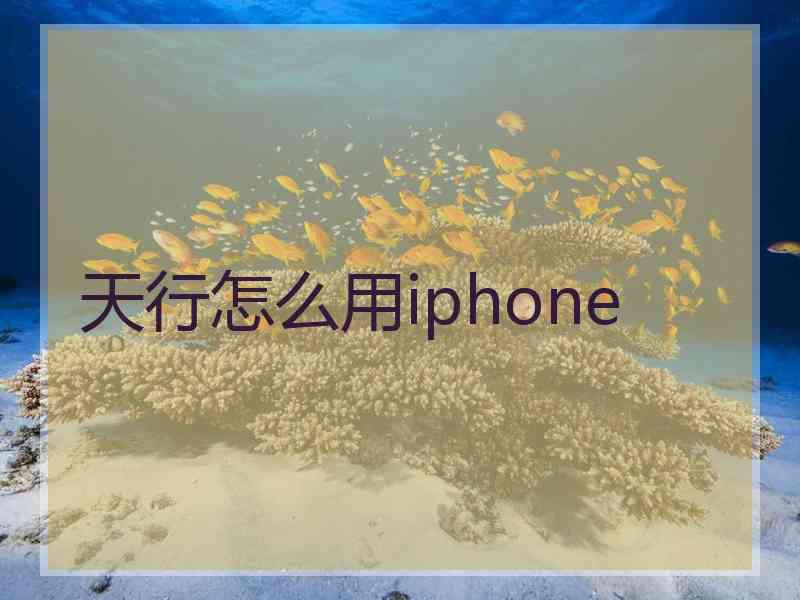 天行怎么用iphone