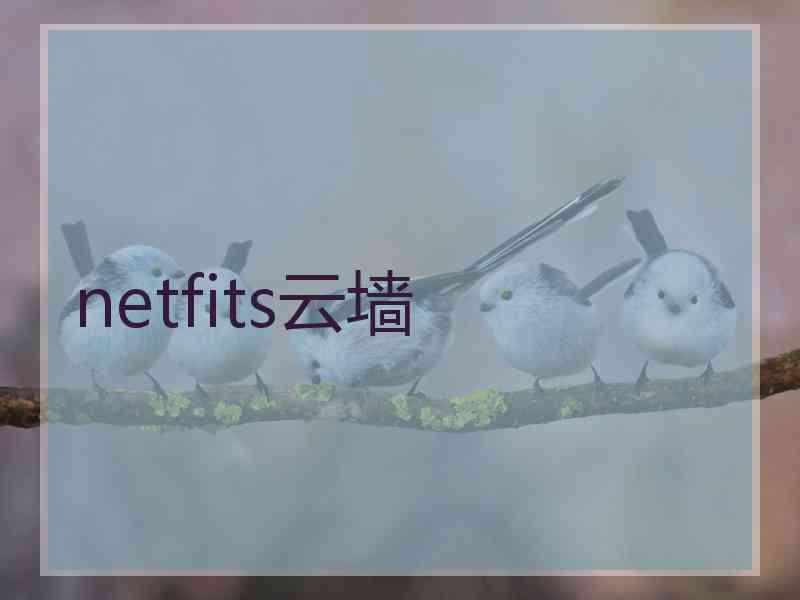 netfits云墙