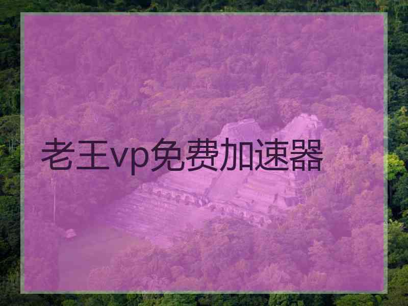 老王vp免费加速器