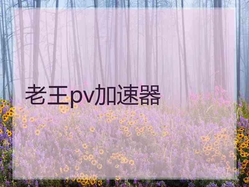 老王pv加速器