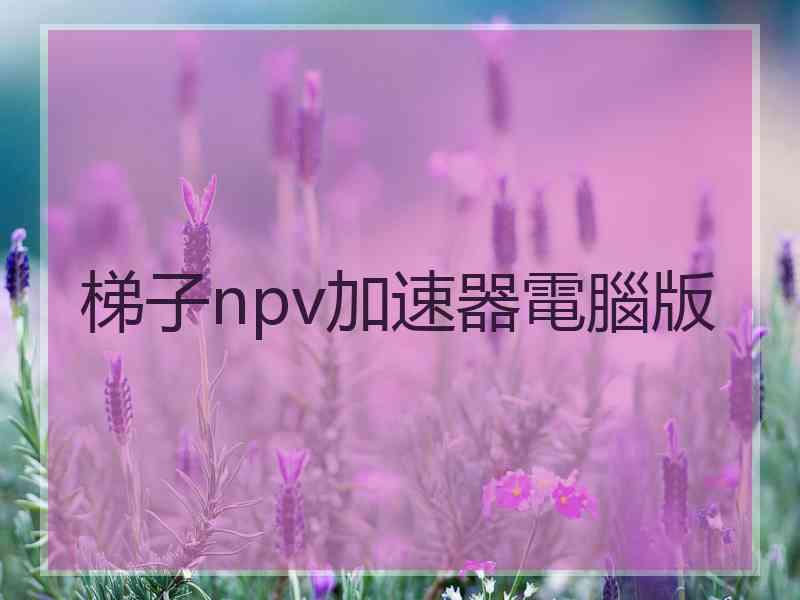 梯子npv加速器電腦版