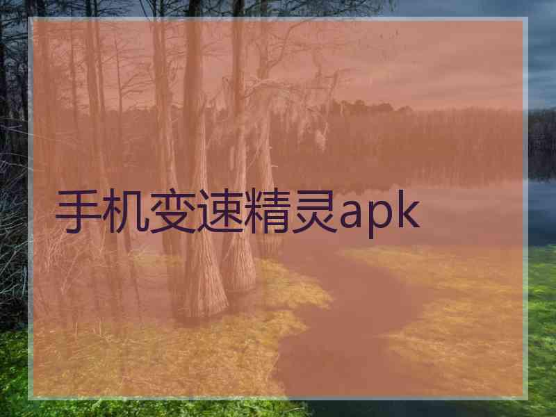 手机变速精灵apk