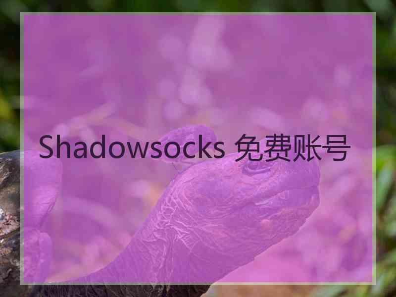 Shadowsocks 免费账号