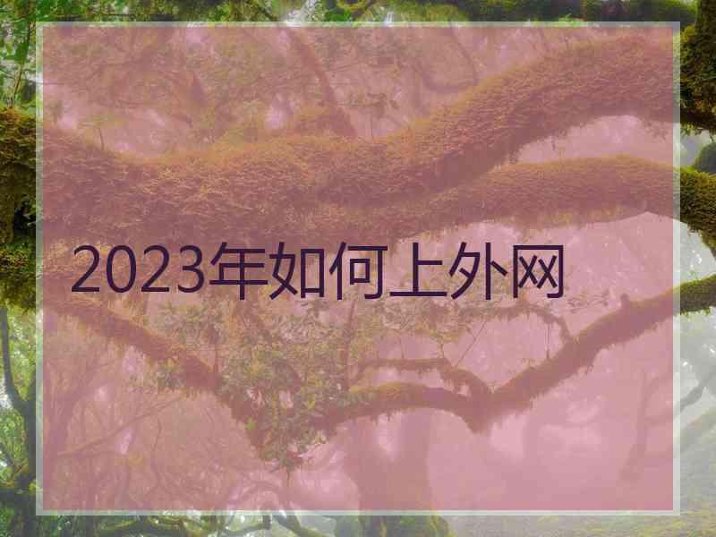 2023年如何上外网